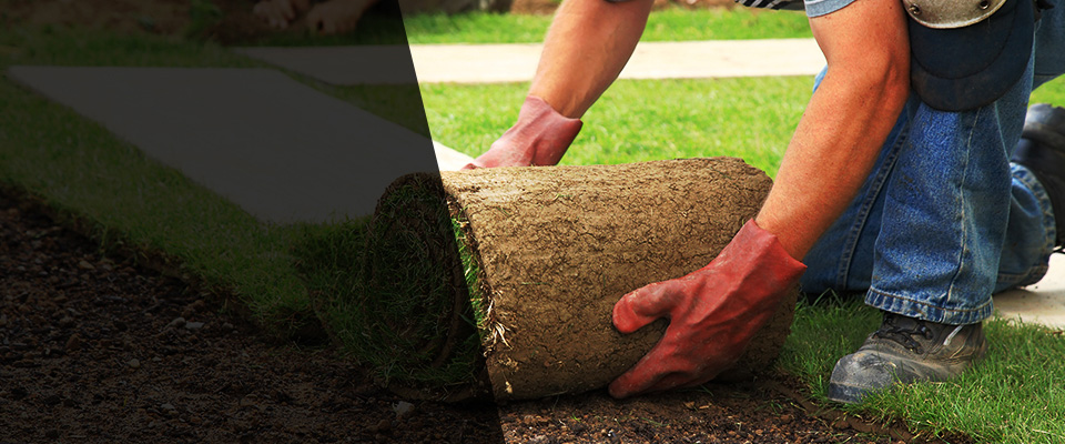 Destrehan Landscapers